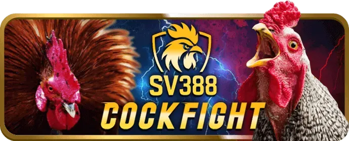Thưởng Sinh Nhật DU88 Chính Thức